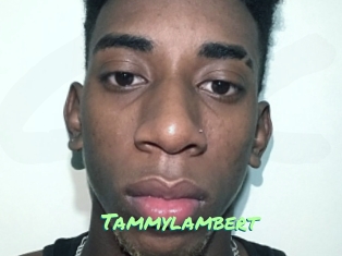 Tammylambert