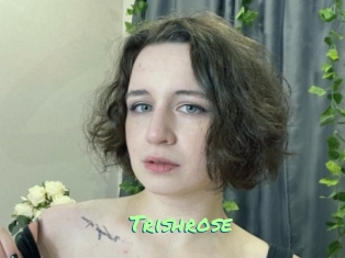 Trishrose