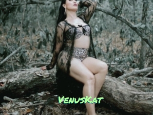 VenusKat