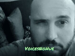 VoicesNoHue