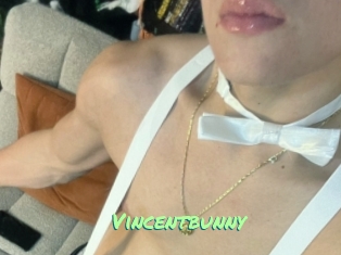 Vincentbunny