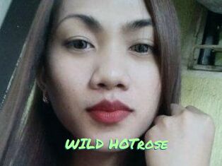 WILD_HOTrose