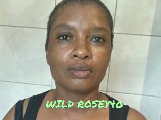 WILD_ROSEY40