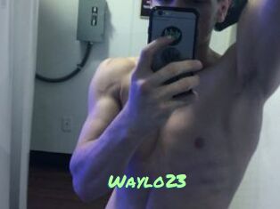 Waylo23