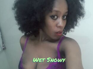 Wet_Snowy