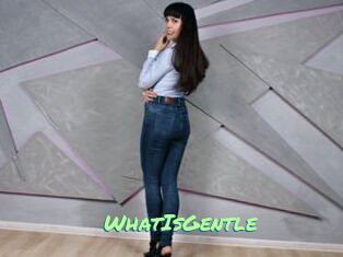 WhatIsGentle