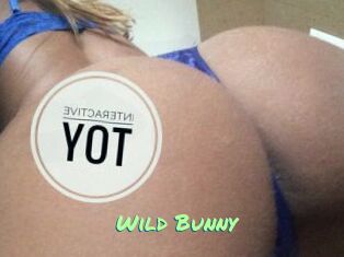 Wild_Bunny_