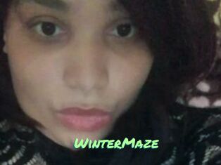 Winter_Maze