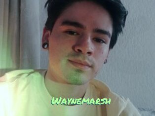 Waynemarsh