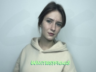 Whitneyfigge