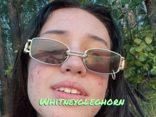 Whitneygleghorn