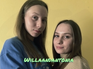 Willaandantonia