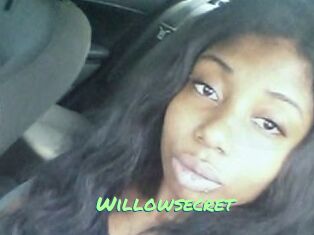 Willow_secret