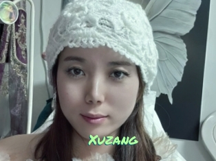 Xuzang